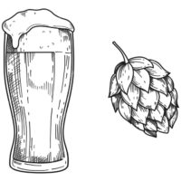fournisseurs de boissons verre de bière dessin